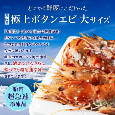 【ふるさと納税】【厳選品】　刺身用ボタンエビ大サイズ1kg　+　刺身用ホタテ500g　1.5kgセット【配送不可地域：離島】【1004024】