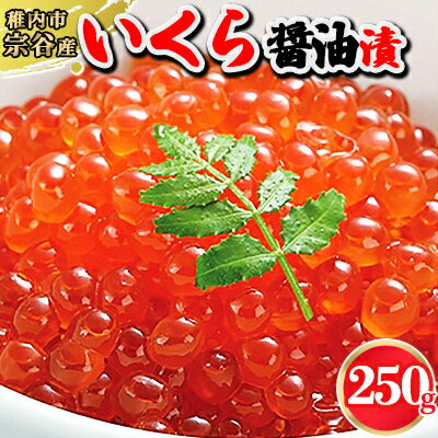 名称 【北海道宗谷産】いくら醤油漬250g 保存方法 冷凍 発送時期 2024年5月より順次発送※生産・天候・交通等の事情により遅れる場合があります。 提供元 （有）誠洋 配達外のエリア 離島 お礼品の特徴 新鮮な秋鮭の卵を一粒一粒丁寧にほぐし、秘伝の醤油たれに漬込んだ「いくら醤油漬」です。プチプチの食感をご堪能ください。 ■内容量/原産地 いくら醤油漬　250g/北海道宗谷産 ■賞味期限 300日 ■注意事項/その他 自然解凍(冷蔵庫などでゆっくり解凍してください) 解凍後、お早めにお召し上がりください。 ※画像はイメージです。 ■原材料:お礼品に記載 ※アレルギー物質などの表示につきましては、お礼品に記載しています。 ・ふるさと納税よくある質問はこちら ・寄附申込みのキャンセル、返礼品の変更・返品はできません。あらかじめご了承ください。このお礼品は以下の地域にはお届けできません。 ご注意ください。 離島