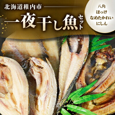 【ふるさと納税】一夜干し魚セット【配送不可地域：離島】【11