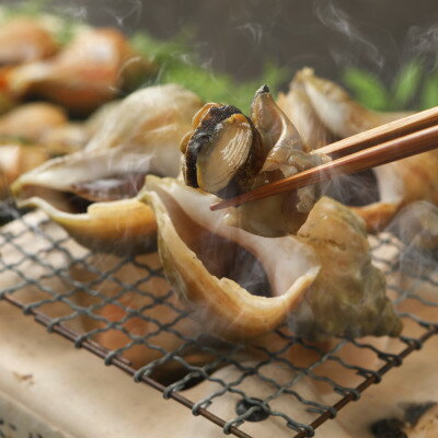 【ふるさと納税】小林さん家の宗谷岬産つぶ煮　2kgセット【配送不可地域：離島】【1261063】