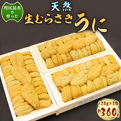 11位! 口コミ数「0件」評価「0」利尻昆布を食べておいしく育った「生むらさきうに」360g【配送不可地域：離島・沖縄県】【1078678】