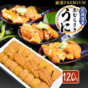 【ふるさと納税】【厳選PREMIUM】美味しいウニは昆布の名