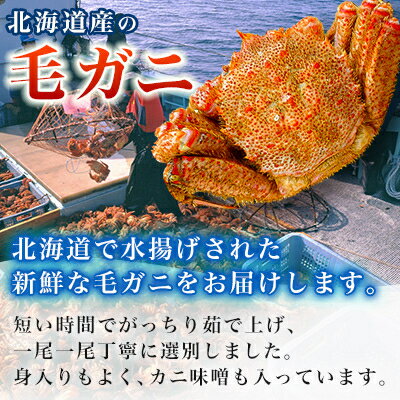 【ふるさと納税】【2024製造】ボイル毛ガニ1尾450g～550g【配送不可地域：離島】【1381380】