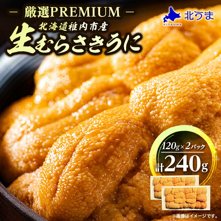 【ふるさと納税】【厳選PREMIUM】美味しいウニは昆布の名産地にあり!生むらさきうに240g【配送不可地...