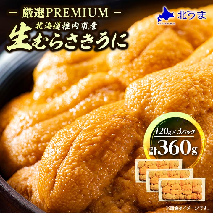 【ふるさと納税】【厳選PREMIUM】美味しいウニは昆布の名