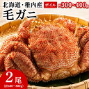 【ふるさと納税】【2025製造】稚内産ボイル毛ガニ小型2尾 (1尾約300g~400gの毛ガニ×2尾)ボイル 毛がに 毛ガニ 毛蟹 ボイル 蟹 カニ 北海道ふるさと納税 稚内 ふるさと納税 北海道 【配送不可地域:離島・沖縄県】