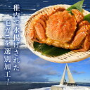 北海道稚内市の画像2