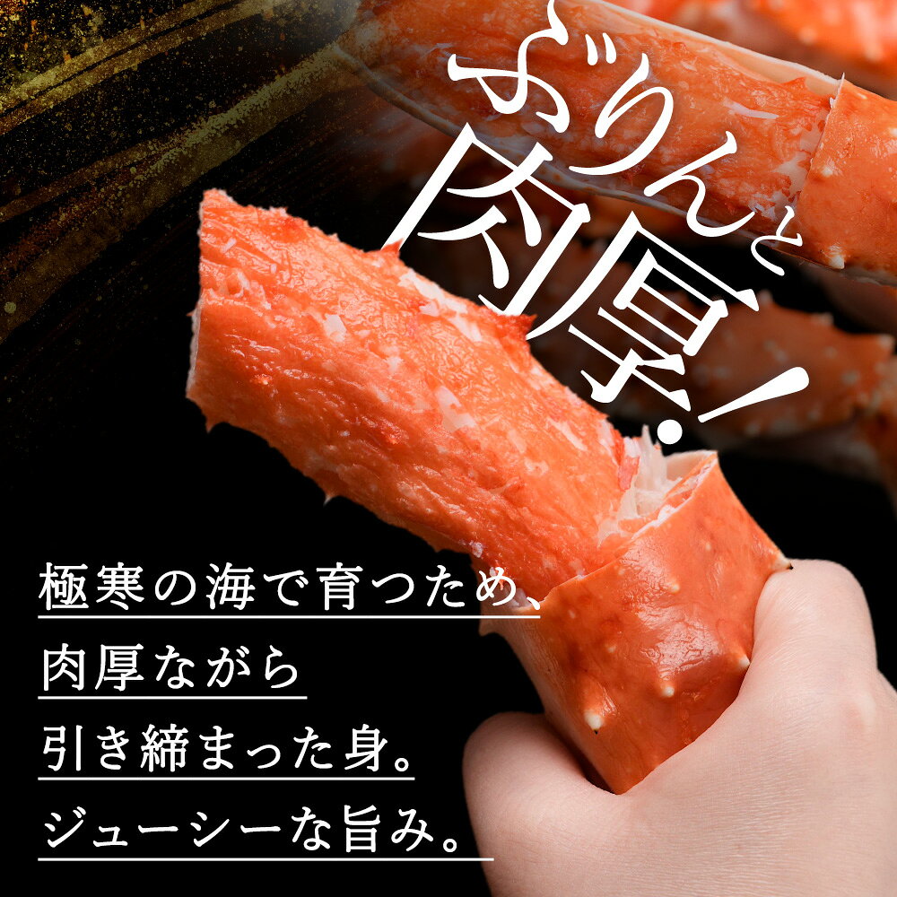 【ふるさと納税】【選べる発送月】自社ボイル製造ボイルタラバガニ足 5L約1kgたらばがに タラバガニ たらば蟹 たらばガニ タラバかに たらばカニ 蟹 カニ ボイルタラバ タラバ足 タラバ脚 北海道ふるさと納税 稚内 ふるさと納税 北海道 【配送不可地域：離島】