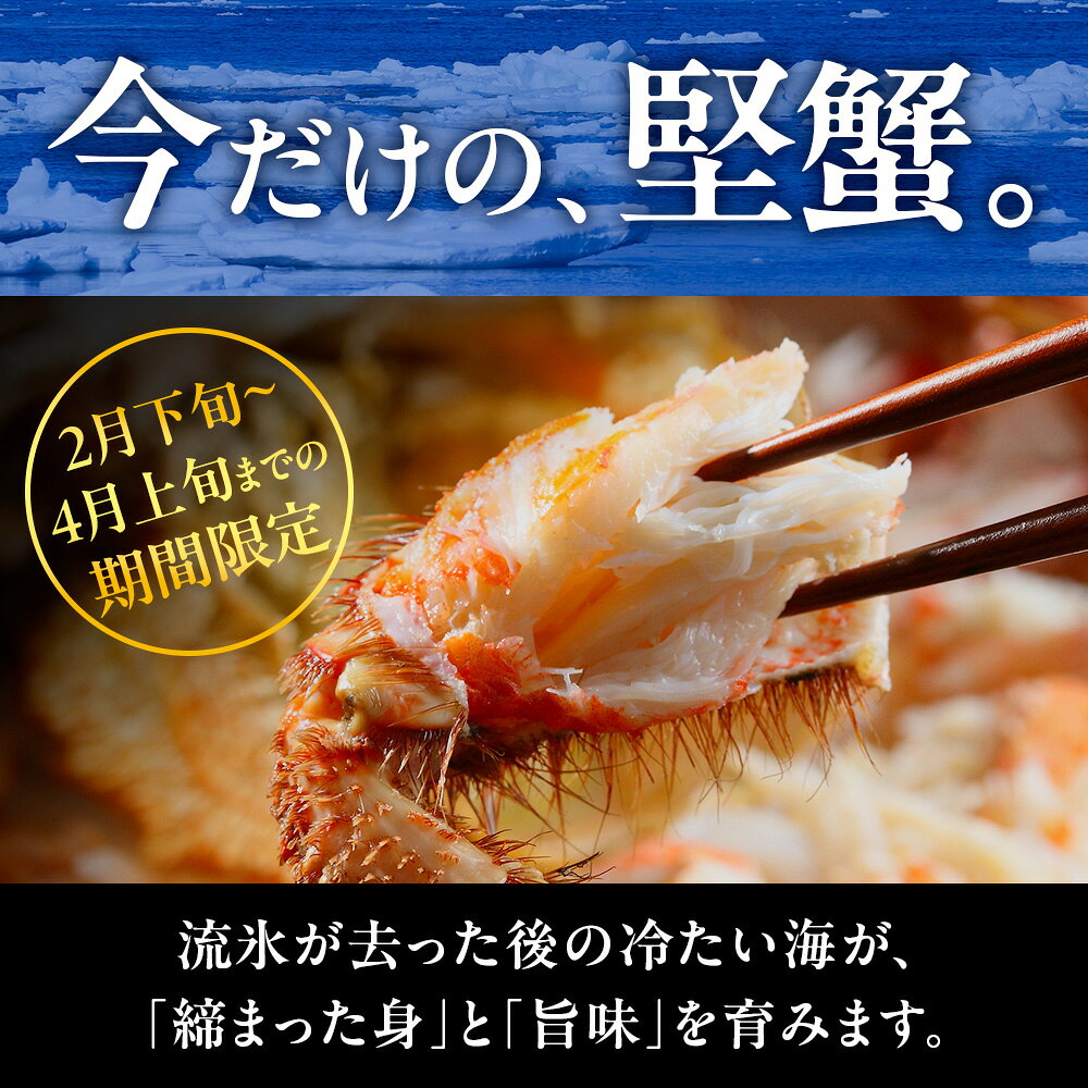 【ふるさと納税】今だけ！稚内産海明け毛ガニ 浜ゆでチルド発送 800g前後ボイル 毛がに 冷蔵 毛ガニ 毛蟹 ボイル 蟹 カニ 海鮮 海産物 北海道ふるさと納税 稚内 ふるさと納税 北海道 【配送不可地域：離島】