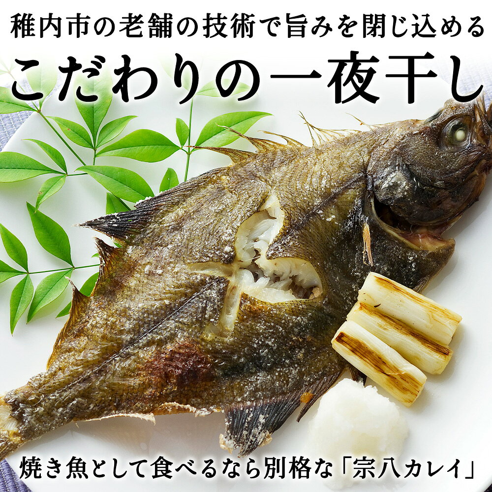 北海道稚内市の画像2