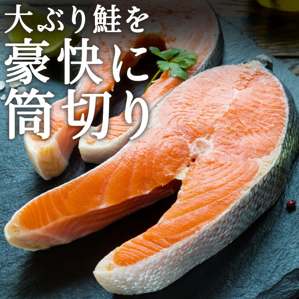 【ふるさと納税】鮭ステーキ 1切約180g×5パック のし付も選べる マルトウ銀毛鮭 鮭 さけ サケ 切身 法華道三 海鮮 ギフト 北海道ふるさと納税 稚内 ふるさと納税 北海道