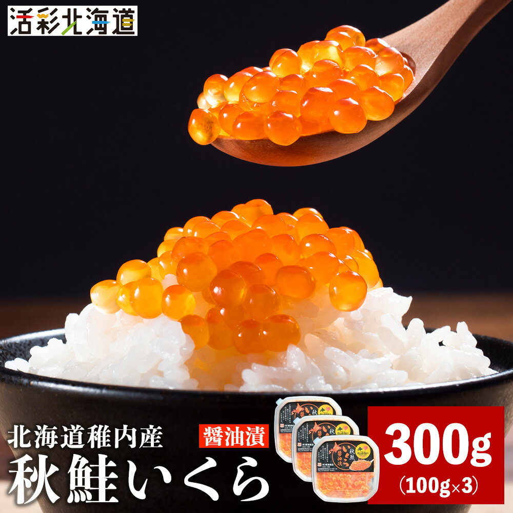 【ふるさと納税】【 北海道 稚内産 