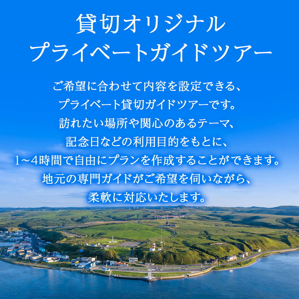 【ふるさと納税】貸切オリジナルプライベートガイドツアー(1～5名まで)体験 ツアー...