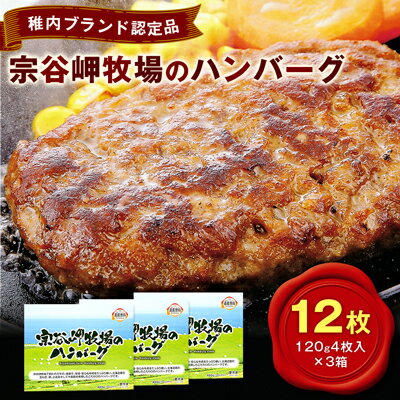 [ 稚内ブランド認定品 ]宗谷岬牧場のハンバーグ 120g 4枚入 × 3箱 12枚 セット 北海道 冷凍 ギフト プレゼント 贈り物 送料無料 [配送不可地域:離島]