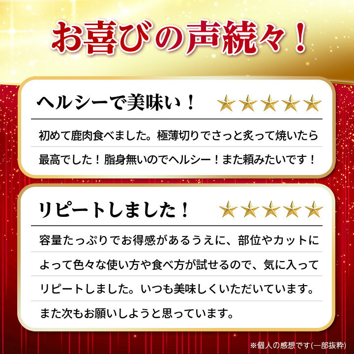 【ふるさと納税】 エゾ鹿 贅沢 5点セット 無添加 鹿肉 ジビエ ギフト プレゼント 贈り物 送料無料 【配送不可地域：離島】【1026707】