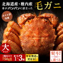 【ふるさと納税】☆12月発送*先行予約☆ 【内熨斗付】【ボイル済み急速冷凍】身がぎっしりと詰まった毛ガニ 選べる1尾~3尾 1尾750g前後ボイル 毛がに 毛ガニ 毛蟹 ボイル 蟹 カニ 海鮮 北海道ふるさと納税 稚内 ふるさと納税 北海道 【配送不可地域:離島・沖縄県】