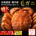 【ふるさと納税】☆12月発送*先行予約☆ 【内熨斗付】【ボイル済み急速冷凍】身がパンパンに詰まった稚内産毛ガニ 選べる1尾~3尾 1尾900g~1kgボイル 毛がに 毛ガニ 毛蟹 ボイル 蟹 カニ 北海道ふるさと納税 稚内 ふるさと納税 北海道 【配送不可地域:離島・沖縄県】