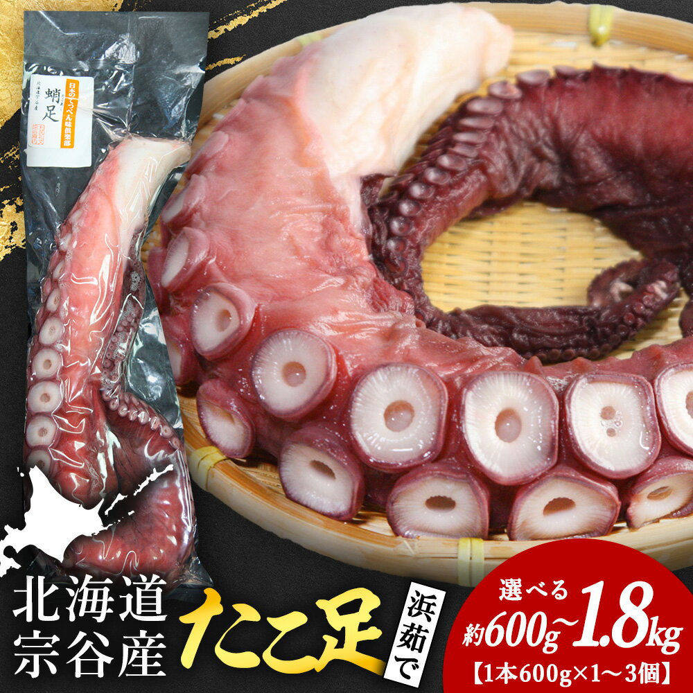 北海道宗谷産 タコ足 選べる600g〜1.8kg前後 1本600前後たこ タコ 蛸足 茹でたこ 茹でタコ ボイルタコ 浜ゆで 北海道ふるさと納税 稚内 ふるさと納税 北海道