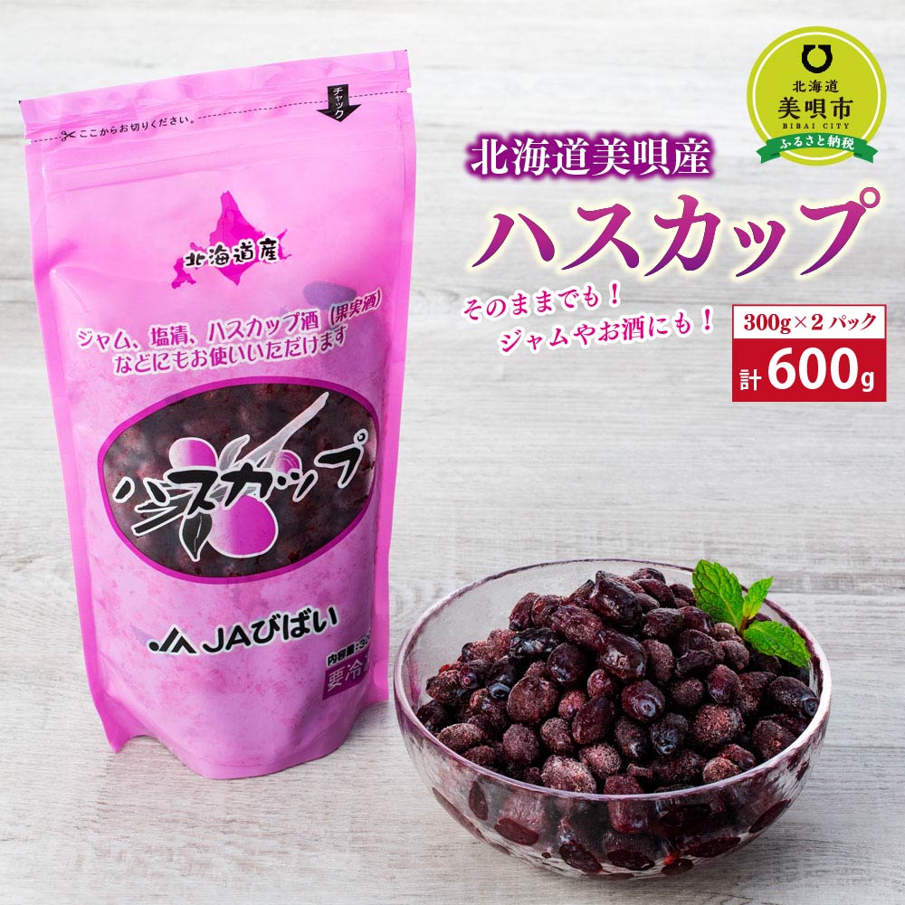 北海道美唄産ハスカップ(600g) | ハスカップ 果物 フルーツ 北海道 ハスカップ北海道ふるさと納税 美唄 ふるさと納税 北海道