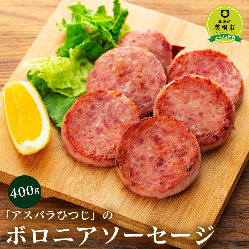 13位! 口コミ数「0件」評価「0」アスパラひつじのボロニアソーセージ | 羊肉 ソーセージ 肉料理 惣菜 加工肉 北海道ふるさと納税 美唄 ふるさと納税 北海道