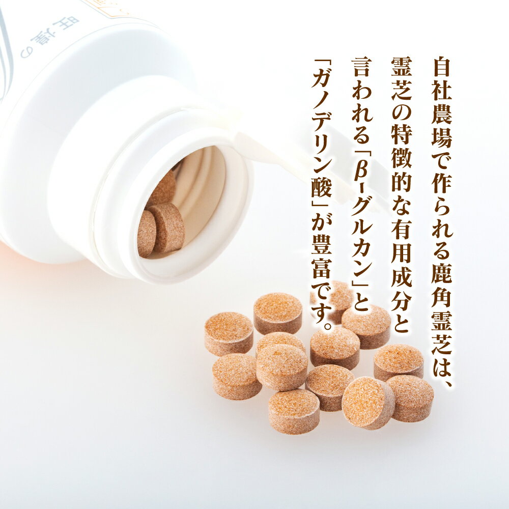 【ふるさと納税】北海道産　旺煌のβグルカンDX　1ヶ月分120粒 | 【健康補助食品】 サプリ β-グルカン ベータグルカン ガノデリン酸 タブレット 北海道ふるさと納税 美唄 ふるさと納税 北海道