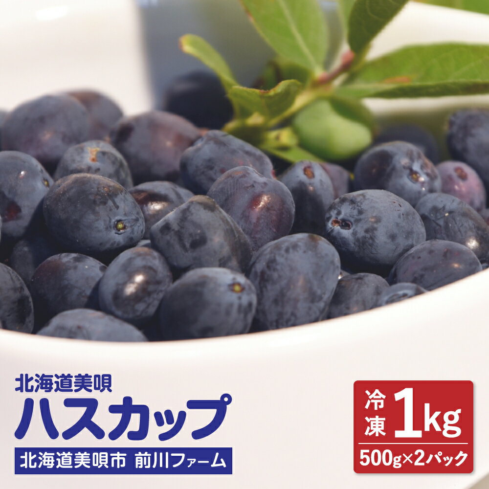 【ふるさと納税】【令和4年産】前川ファームのハスカップ1kg（500g×2）【冷凍】【配達不可地域】離島（沖縄・北海道は可）のサムネイル