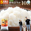 【ふるさと納税】【令和5年産】無洗米 北海道産 ゆめぴりか 10kg 5営業日以内発送 | 米 お米 精米 ブランド ブランド米 コメ おこめ ごはん ご飯 白米 ゆめぴりか 特A 北海道 北海道産 北海道米 美唄 無洗米