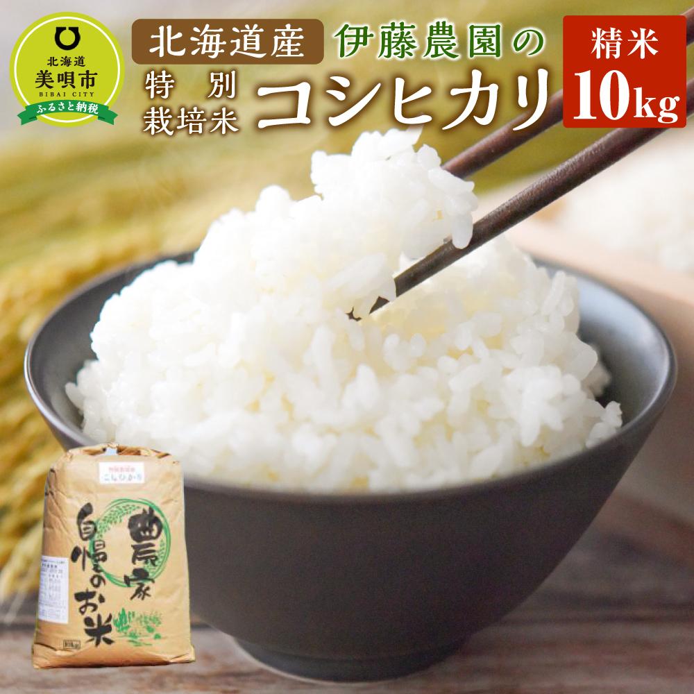 伊藤農園の特別栽培米コシヒカリ　精米（10kg） | お米 こめ 白米 食品 人気 おすすめ 送料無料