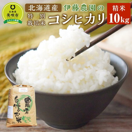 【令和5年産】伊藤農園の特別栽培米コシヒカリ　精米（10kg） | お米 こめ 白米 食品 人気 おすすめ 送料無料