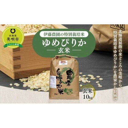 【令和5年産】伊藤農園の特別栽培米ゆめぴりか 玄米（10kg） | お米 こめ 食品 人気 おすすめ 送料無料