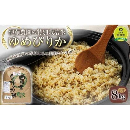 【令和5年産】伊藤農園の特別栽培米ゆめぴりか 玄米（8kg） | お米 こめ 食品 人気 おすすめ 送料無料