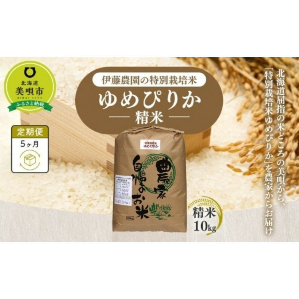 【ふるさと納税】【令和7年産】伊藤農園の特別栽培米ゆめぴりか 精米（10kg）【定期便5ヶ月】