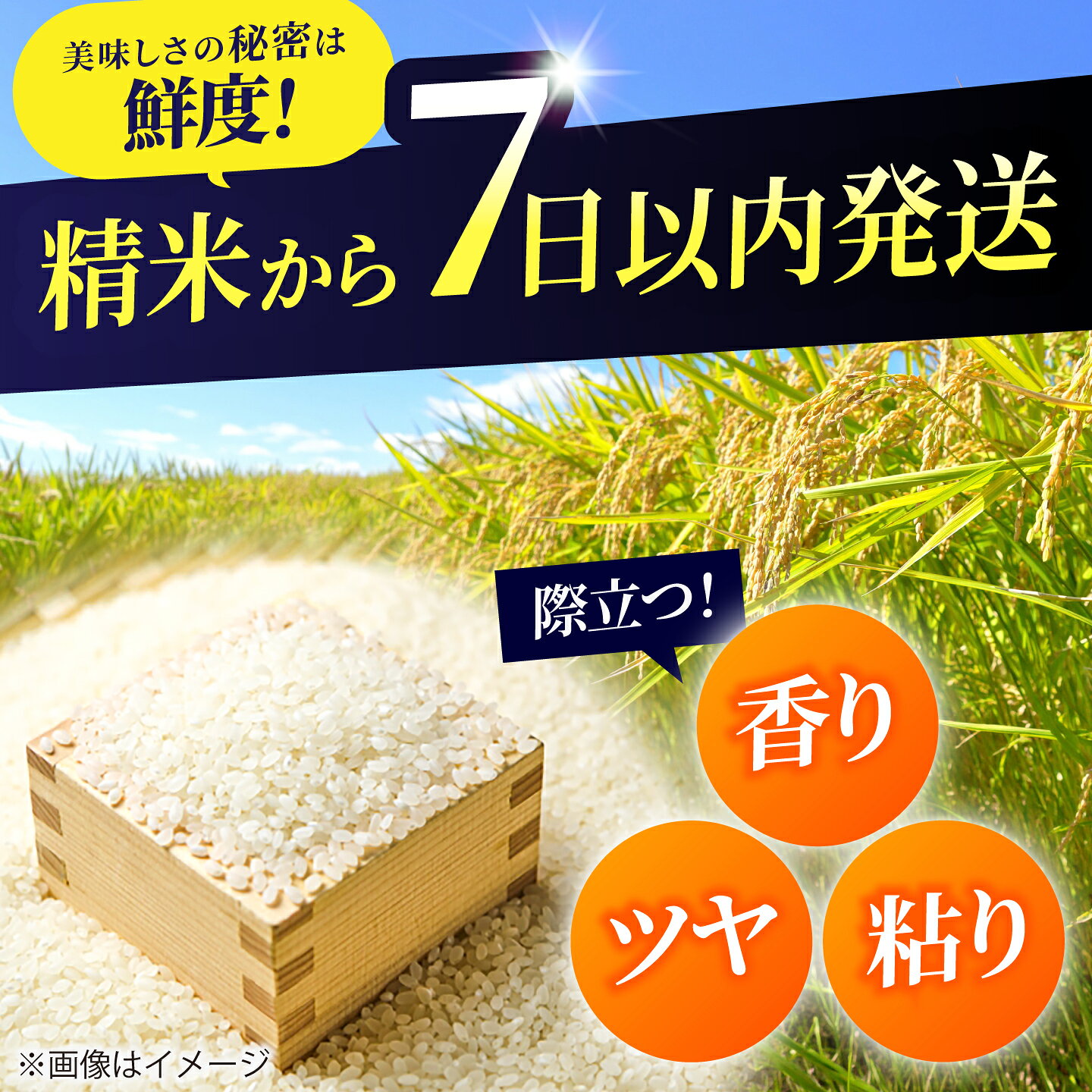 【ふるさと納税】北海道産 ゆめぴりか・ななつぼし 食べ比べセット 10kg (各5kg) | 特Aランク お米 米 精米 ゆめぴりか ななつぼし | 北海道ふるさとセンター[BOBY003] f012157-bibai-10000698 北海道美唄市 サンプル画像3
