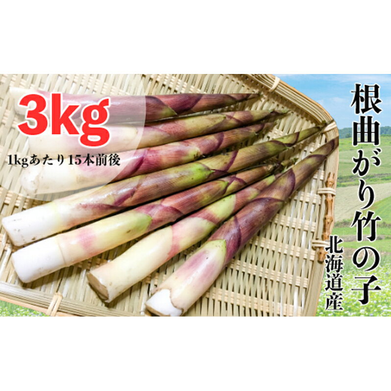 乐天商城 - 【ふるさと納税】たけのこ 6月発送 根曲がり竹の子 3kg 1kgあたり15本程度 山菜直売店中野渡 北海道産 竹の子 タケノコ 野菜 山菜 新鮮 焼いて 味噌汁 春の恵み 調理 冷蔵配送 北海道 芦別市　お届け：6月上旬以降順次発送