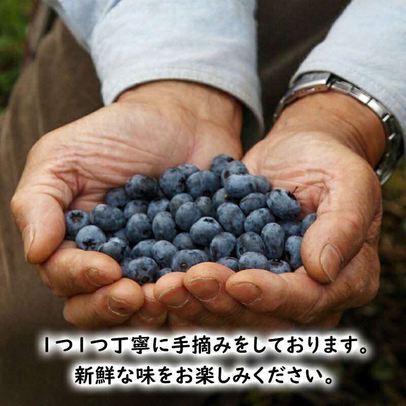 【ふるさと納税】冷凍 ブルーベリー 1.6kg (400g×4パック) 北海道産 フルーツ 果物 旬のフルーツ 旬の果物 くだもの 北海道 芦別市
