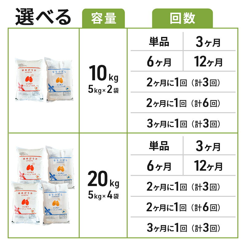 【ふるさと納税】選べる 【容量/ 単品 定期便 /配送月】新米 食べ比べ ゆめぴりか ななつぼし [ 各 5kg 10kg ] 令和8年産 特Aランク 米 北海道 芦別 精米 白米 農家直送 特A お米 芦別応援米　お届け：2026年10月～2026年11月に順次出荷※配送要望はお受け出来ません。 f012165-ashibetsu-10000590 北海道芦別市 サンプル画像2