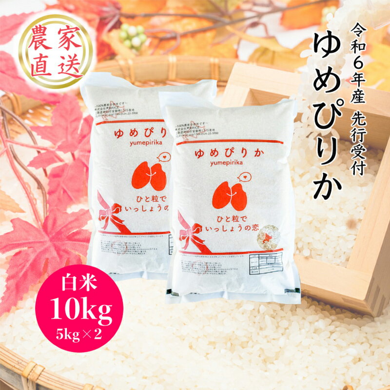 【ふるさと納税】【R6年産先行受付】 ゆめぴりか 10kg (5kg×2袋) 農家直送 精米 白米 お米 ご飯 米 北海道米 北海道 芦別市 芦別RICE　【 粘り 甘み 美味しい 最高級 】　お届け：2024年10月中旬から順次発送