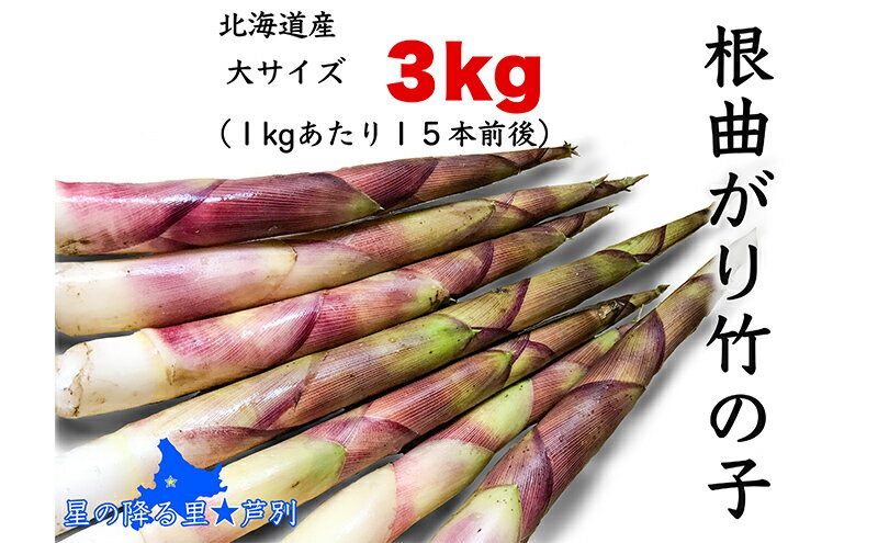 【ふるさと納税】たけのこ 6月発送 根曲がり竹の子 3kg 1kgあたり15本程度 山菜直売店中野渡 北海道産 竹の子 タケノコ 野菜 山菜 新鮮 焼いて 味噌汁 春の恵み 調理 冷蔵配送 北海道 芦別市　お届け：6月上旬以降順次発送