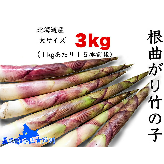 【ふるさと納税】たけのこ 6月発送 根曲がり竹の子 3kg 1kgあたり15本程度 山菜直売店中野渡 北海道産 竹の子 タケノコ 野菜 山菜 新鮮 焼いて 味噌汁 春の恵み 調理 冷蔵配送 北海道 芦別市　お届け：6月上旬以降順次発送のサムネイル
