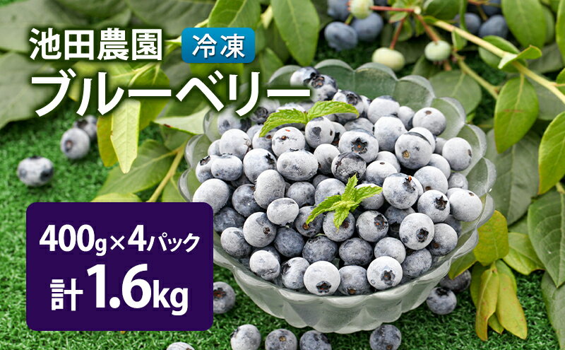 【ふるさと納税】冷凍 ブルーベリー 1.6kg (400g×4パック) 北海道産 フルーツ 果物 旬のフルーツ 旬の果物 くだもの 北海道 芦別市