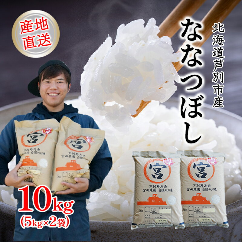 【ふるさと納税】【R5年産】 ななつぼし 10kg (5kg