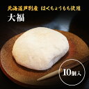 【ふるさと納税】【芦別産はくちょうもち使用】大福 10個セット 和菓子 餅 もち 芦別観光協会　【 菓子 お菓子 こしあん おやつ 冷凍 】