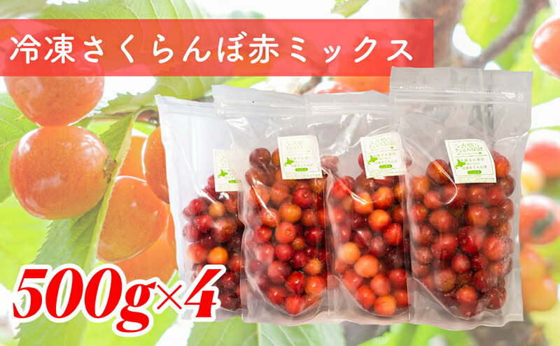 【ふるさと納税】冷凍さくらんぼ 赤ミックス 500g×4パック 北海道 芦別市 大橋さくらんぼ園　【 さくらんぼ チェリー 果物類 果物 フルーツ 冷凍 】