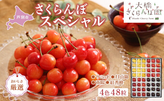 【ふるさと納税】【先行受付】 厳選 さくらんぼ スペシャル 4色 48粒 北海道 芦別市 大橋さくらんぼ園　【 チェリー 果物類 果物 フルーツ 】　お届け：2024年7月中旬～7月下旬まで