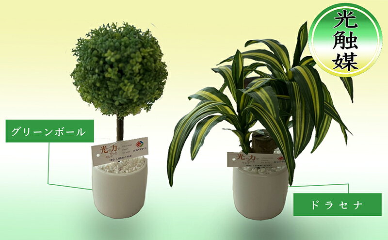 【ふるさと納税】光触媒 造花 約25cm ×2 セット ドラセナ グリーンボール 観葉植物 フェイクグリーン インテリア 置物 空気清浄 人工 観葉 植物 触媒 卓上 ミニ 雑貨 フェイク グリーン 北海道 芦別市