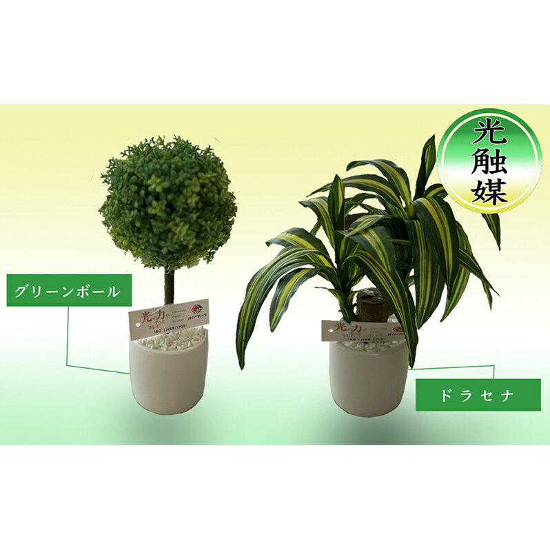 光触媒・造花 2つ セット ドラセナ グリーンボール 約25cm 観葉植物 植物 北海道 芦別市 日本インソール工業 [ 雑貨 日用品 消臭 抗菌 化学反応 浄化 カビ 菌 ]