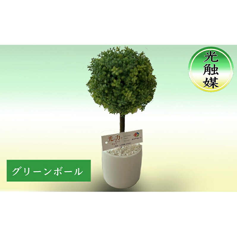 光触媒 造花 グリーンボール 約25cm 観葉植物 フェイクグリーン 抗菌 浄化 消臭 浄化 植物 インテリア おしゃれ フェイク 卓上 人工観葉植物 アートグリーン 北海道 芦別市
