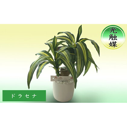 光触媒・造花 ドラセナ 約25cm 観葉植物 植物 北海道 芦別市 日本インソール工業　【 雑貨 日用品 消臭 抗菌 化学反応 浄化 カビ 菌 】