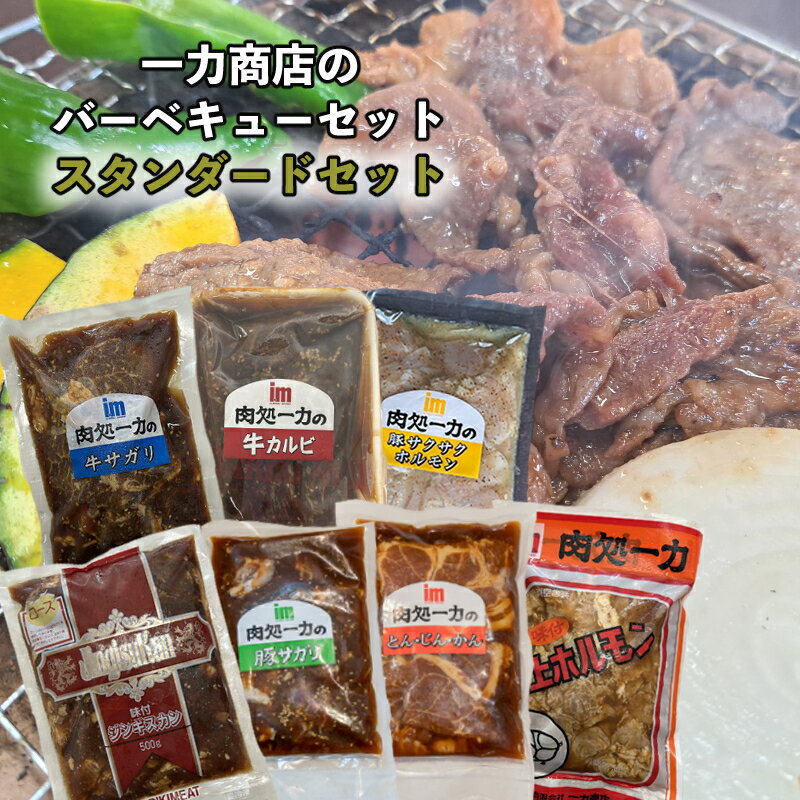 【ふるさと納税】一力商店のバーベキューセット(スタンダードセット) 北海道 芦別市　【 肉 お肉 牛 牛肉 うし 豚 豚肉 ぶた ポーク ロース成吉思汗 上ホルモン サクサクホルモン 牛サガリ(オーストラリア産) 牛カルビ(アメリカ産) 豚サガリ とんじんかん 】