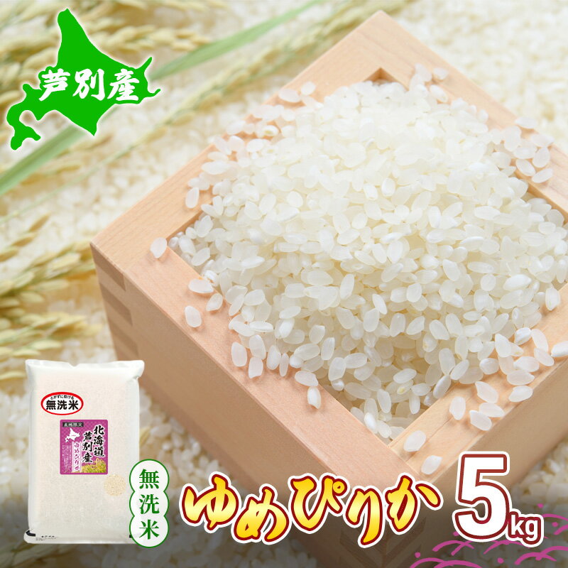 【ふるさと納税】北海道 芦別産 R5年産 ゆめぴりか 無洗米